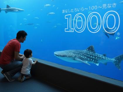 いおワールドかごしま水族館でジンベエザメを見る親子
