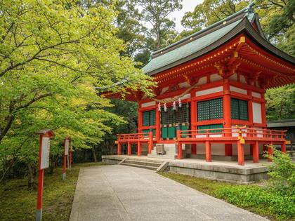 霧島神宮の朱色の社殿と新緑に囲まれた参道